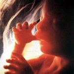 fetus1 150x150 El triunfo del concebido y la derrota de Pilar Mazetti y las ONG´s abortistas