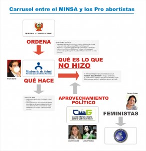 Cuadro TC Minsa CIG CIDH N 291x300 La Discriminación del MINSA, la complicidad del DIGEMID y la estrategia feminista