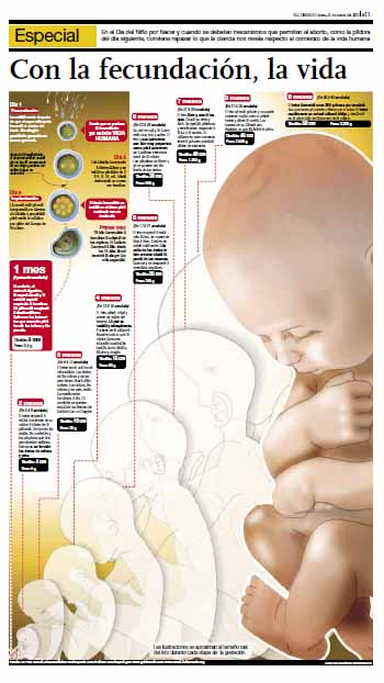 infografia11 Crónica del Día del Niño por Nacer