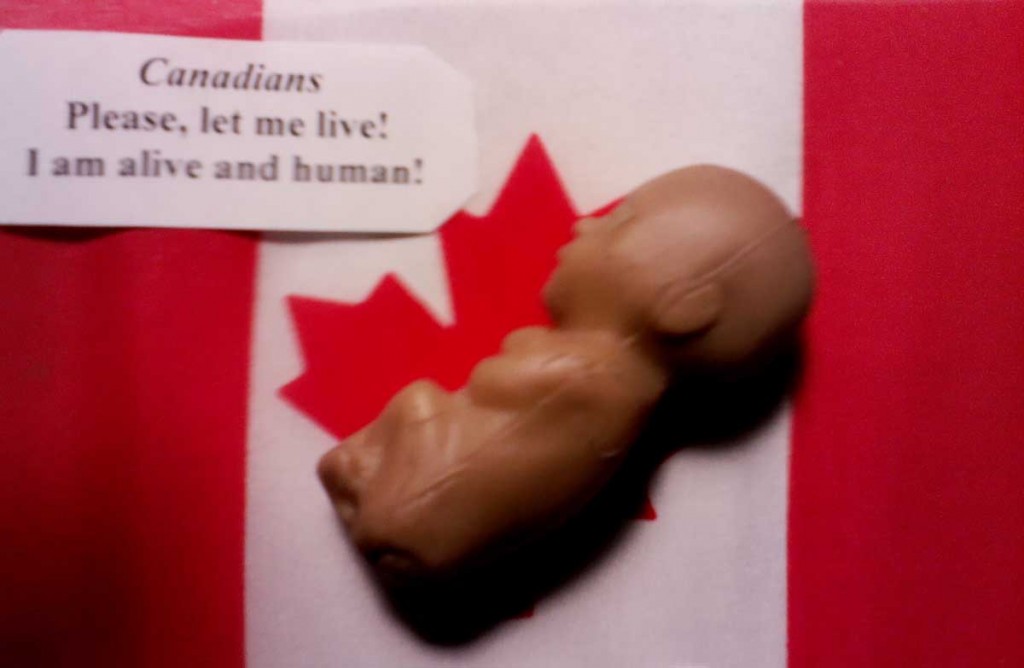CANADA ABORTO 1024x668 Canadá: La lógica del aborto es la lógica del infanticidio