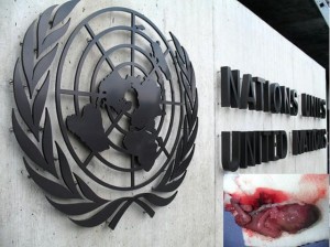 onu sede aborto 300x224 C FAM: Los cinco peores momentos para la vida y la familia en las Naciones Unidas durante 2012 