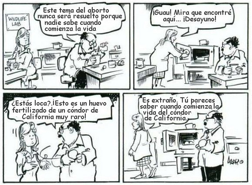 condorvshombre1 ¿Cómo que no sabemos cuándo se inicia la vida?