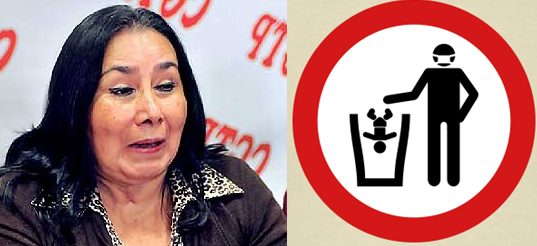 ¿Y por qué sólo por la muerte de 3 niños...? protocolo garcia naranjo1 ¿Y por qué sólo por la muerte de 3 niños...?