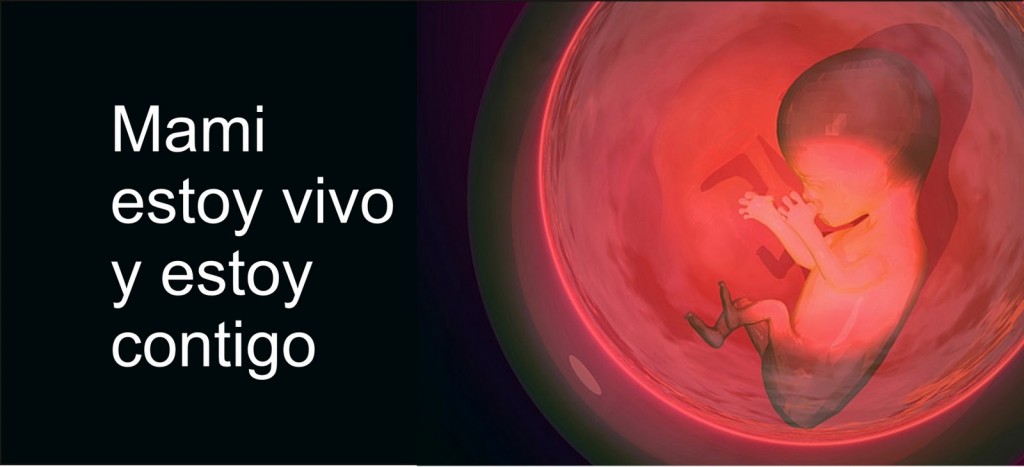 por la vida 1024x467 Mensaje del Día del Niño por Nacer : “Así como tú, yo también tengo derecho a vivir”